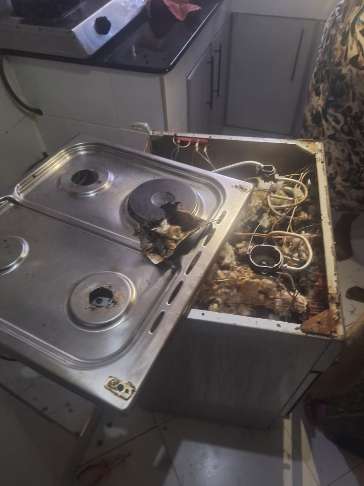 Old cooker rewiring and deep service — Nairobi home repair